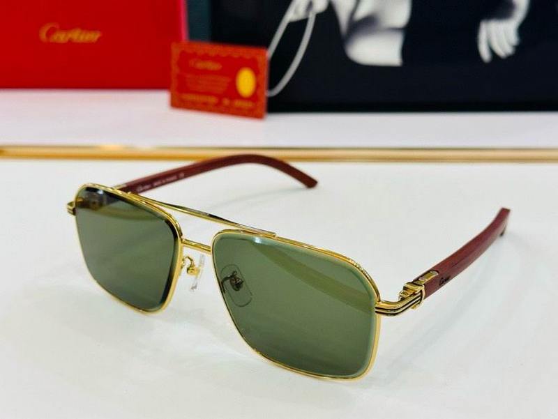 Cartier Sunglasses 1074